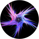 Wendy gauchet profile picture