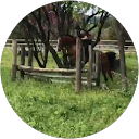 Léane RUBRECHT profile picture